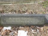 image of grave number 684306